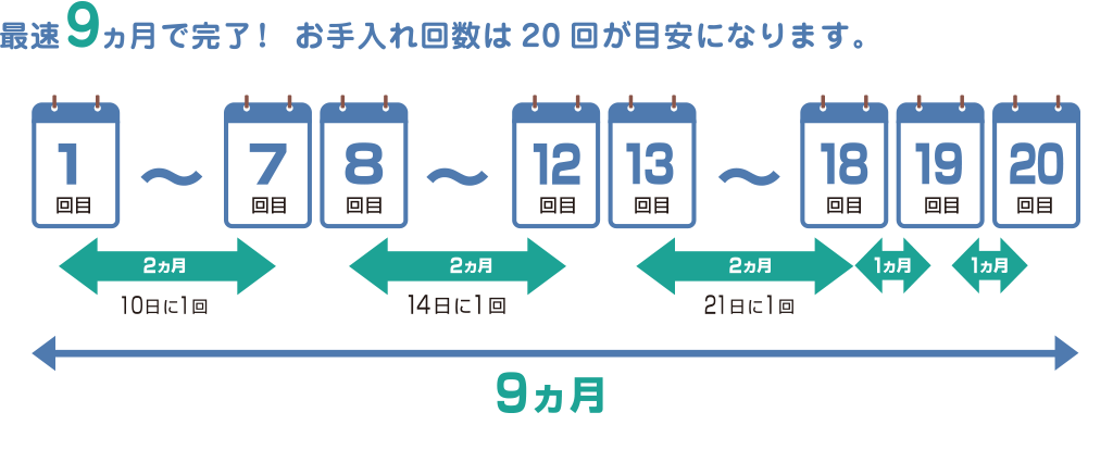 脱毛期間９ヶ月のスケジュール